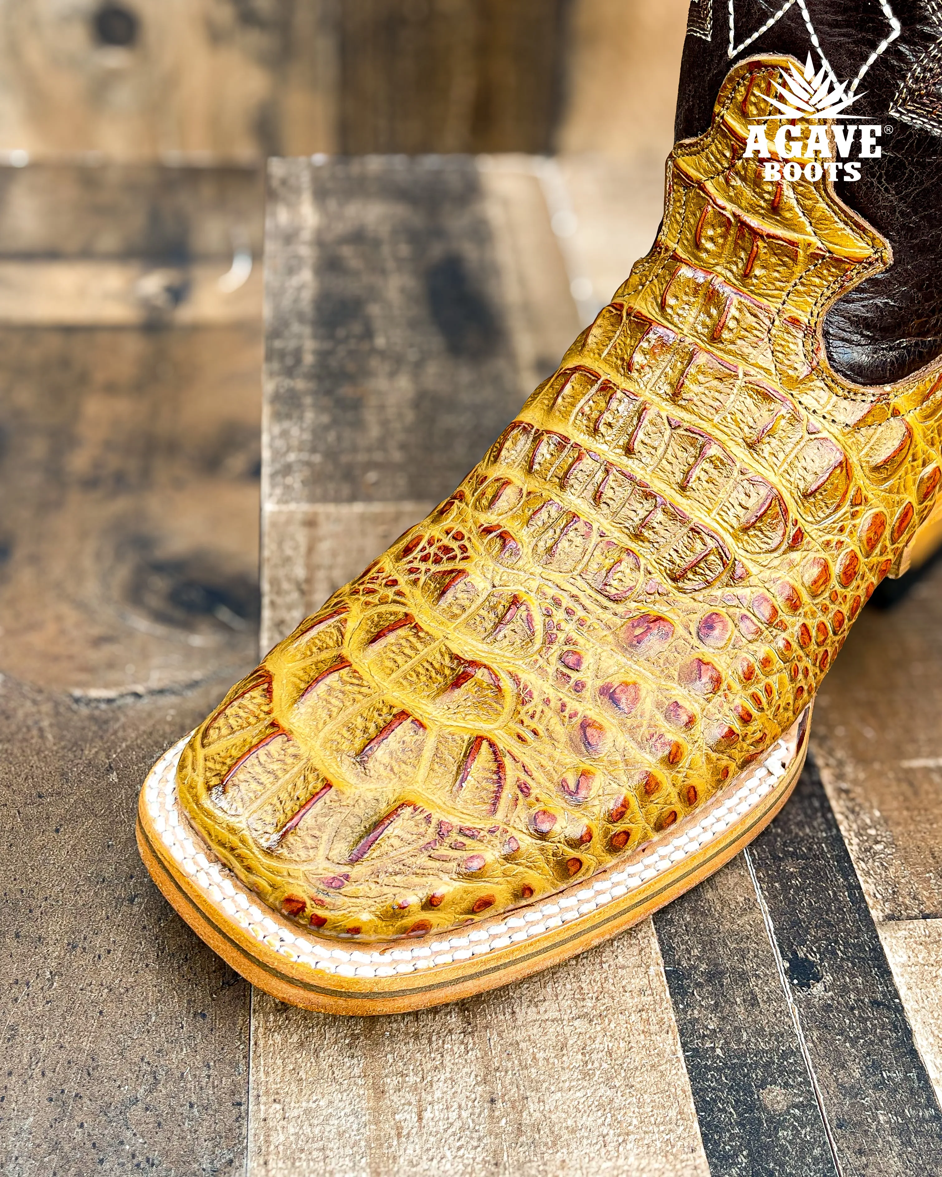 CAIMAN HORN BACK "CEDAR" | MEN SQUARE TOE WESTERN COWBOY BOOTS