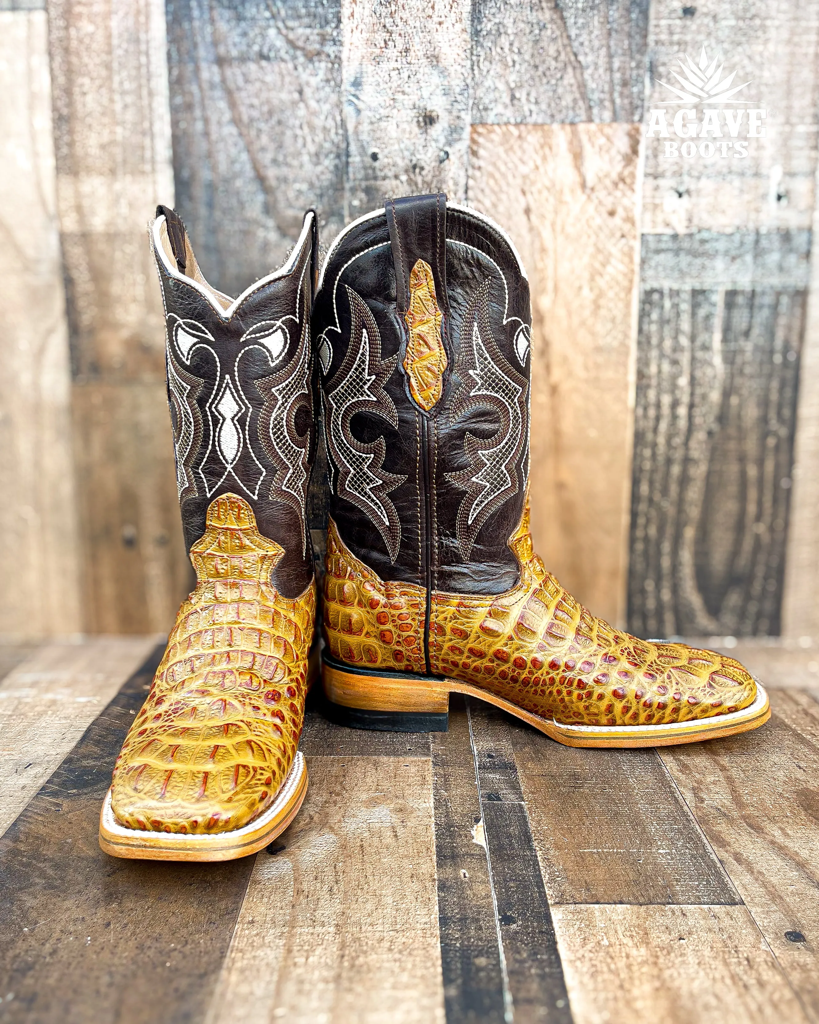 CAIMAN HORN BACK "CEDAR" | MEN SQUARE TOE WESTERN COWBOY BOOTS